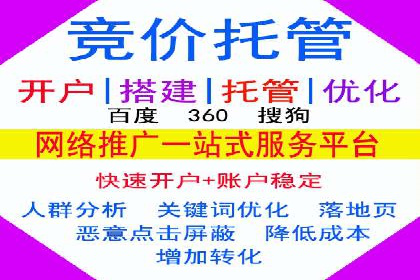 某公司如何通过SEM实现精准营销——从策略到执行的完整案例